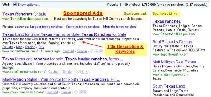 SEO Services Get Better Results Now